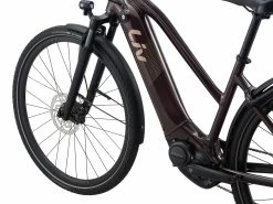 Amiti E+ 2 (RideDash Evo) -BIKES Soldes MY21Amiti Eplus2 ColorARosewood 2 GUversion