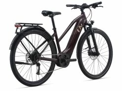 Amiti E+ 2 (RideDash Evo) -BIKES Soldes MY21Amiti Eplus2 ColorARosewood back GUversion