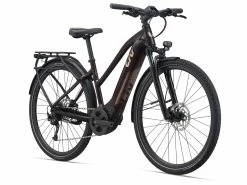 BIKES Soldes -BIKES Soldes MY21Amiti Eplus2 ColorARosewood front GUversion