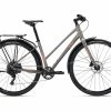 Alight City Disc 2 -BIKES Soldes MY22Alight2CityDisc 1X ColorAMetal